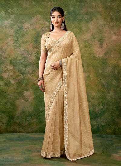 Beige Golden Embroidered Tissue Organza Saree