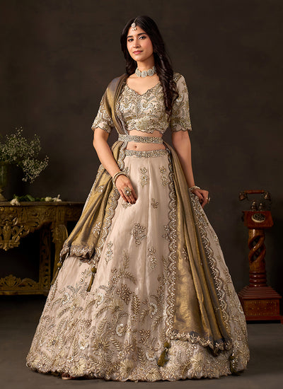 Shop Beige And brown Lehenga Choli Set In UK