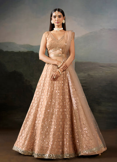 Light Peach Embroidered Georgette Lehenga Set