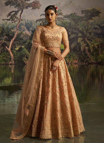 Peach Lehenga Choli At Hatkay
