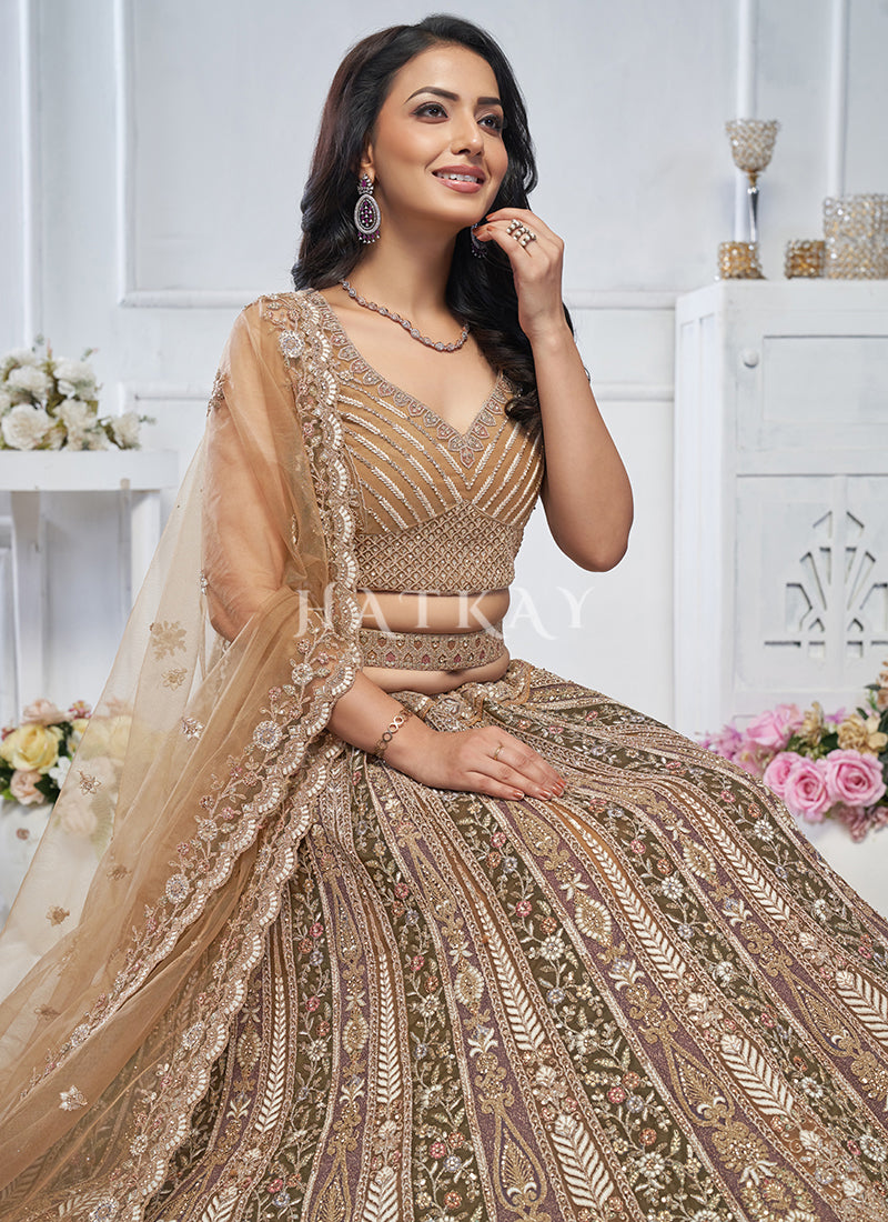 Brown Lehenga Choli