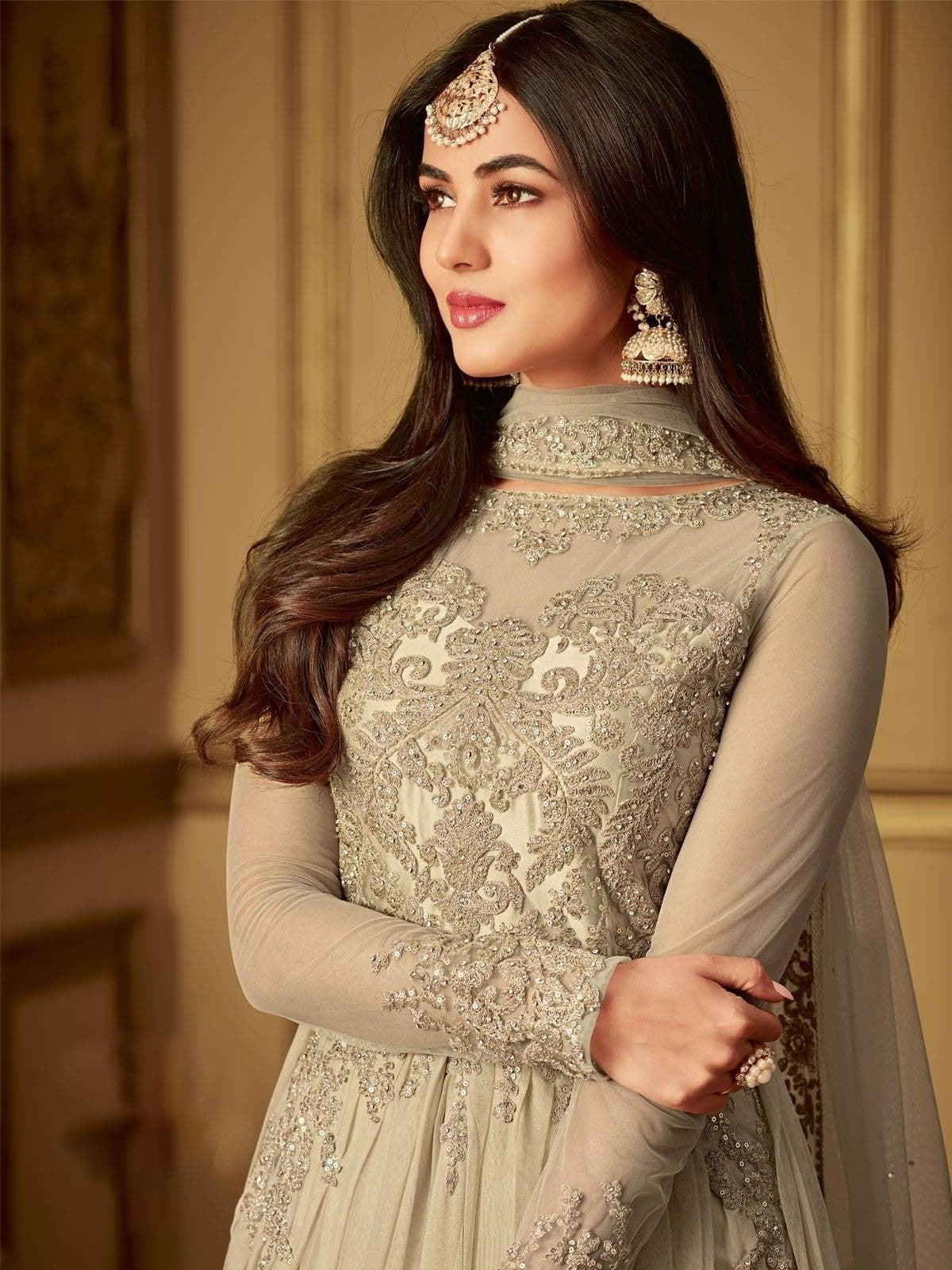 Beige Bling With Traditional Embroidered Detailed Anarkali Suit