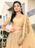 Beige Mirror Work Embroidery Designer Lehenga Choli In USA UK Canada