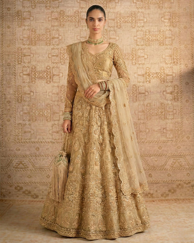 Beige Golden Embroiderey Lehenga Choli