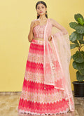 Pink Multi Embroidery Printed Lehenga Choli