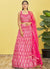 Hot Pink Multi Embroidery Printed Lehenga Choli