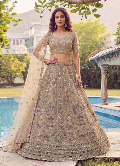 Golden Beige Traditional Embroidery Lehenga Choli