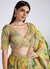 Buy Lehenga Choli 