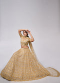 Shop Designer Lehenga Choli