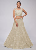 Shop Designer Lehenga Choli
