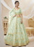 Light Green Mirror Embroidery Traditional Lehenga Choli