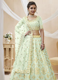 Light Green Lehenga Choli In USA