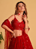 Buy Lehenga Choli 