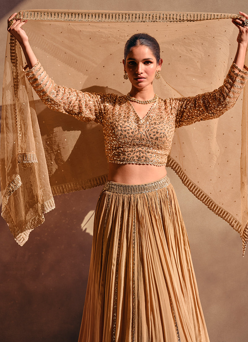Beige Golden Sequence Embroidery Traditional Lehenga Choli