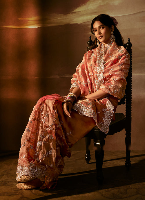 Coral And Red Embroidered Organza Silk Saree