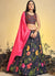 Charcoal Black Multi Floral Embroidery Lehenga Choli