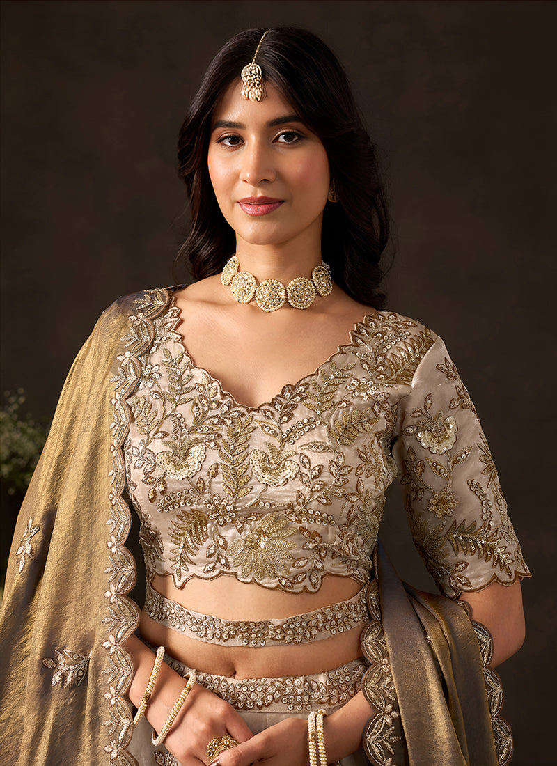 Beige And Brown Lehenga Choli For Wedding