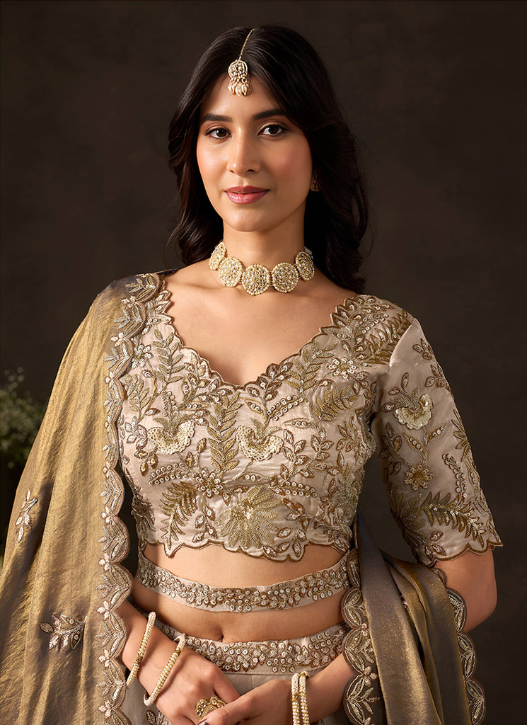 Beige And Brown Lehenga Choli For Wedding