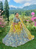 Buy Lehenga Choli 