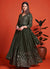 Olive Green Sequence Embroidery Traditional Anarkali Gown
