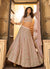 Baby Pink Organza Multi Embroidered Designer Lehenga Choli