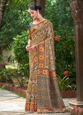Olive Multicolored Ikat Printed Patola Silk Saree
