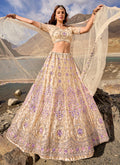 Beige Multi Handwork Embroidery Wedding Lehenga Choli