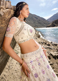 Buy Lehenga Choli 