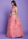 Peach Mirror Work Embroidery Lehenga Choli In USA UK