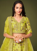 Lime Green Sequence Embroidery Festive Lehenga Choli In USA UK Canada