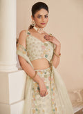 Buy Lehenga Choli 