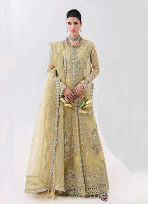 Amber Haze Embroidery Organza Anarkali Palazzo Set
