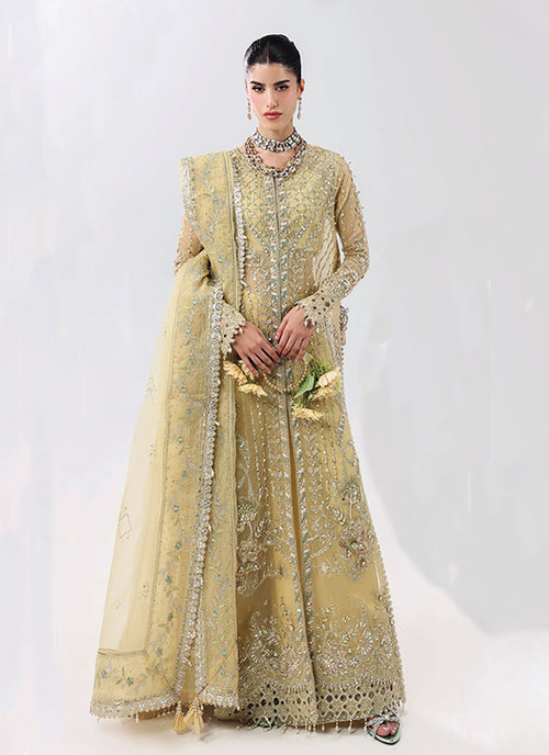 Amber Haze Embroidery Organza Anarkali Palazzo Set