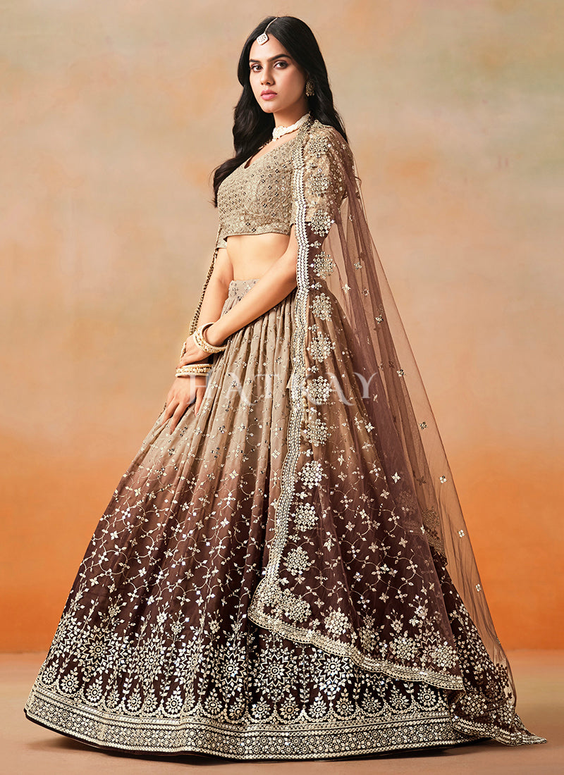 Brown Lehenga Choli