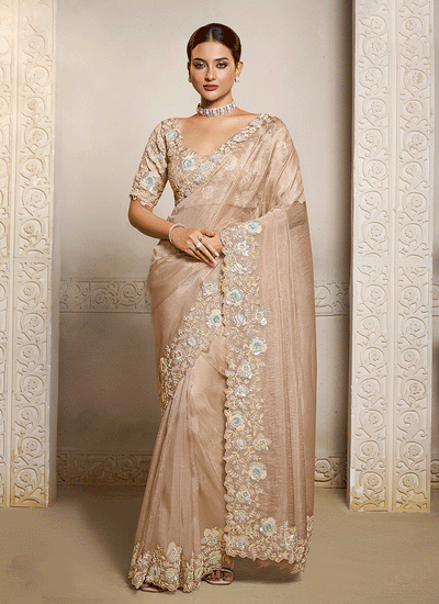 Soft Peach Handwork Embroidery Festive Saree