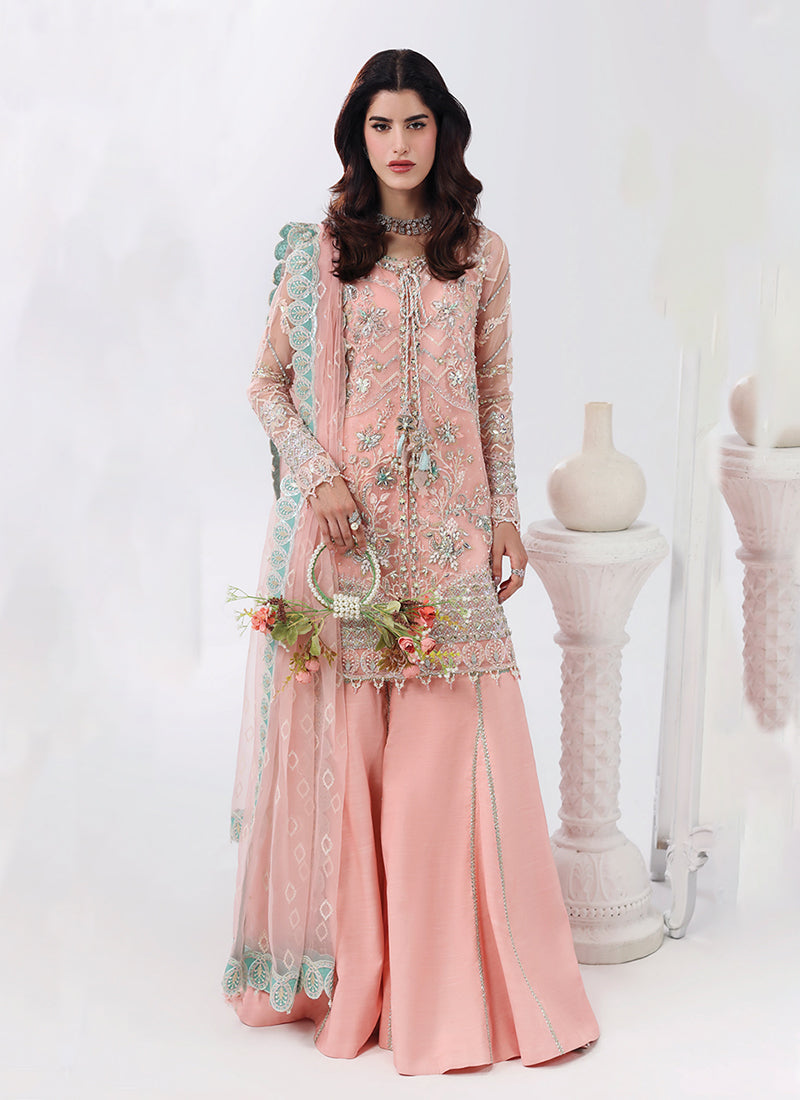 Rose Dust Embroidery Organza Gharara Suit