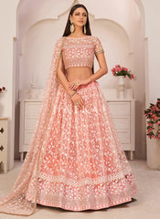Soft Peach Embroidered Lehenga Choli