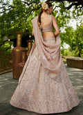Nude Peach Designer Lehenga Choli