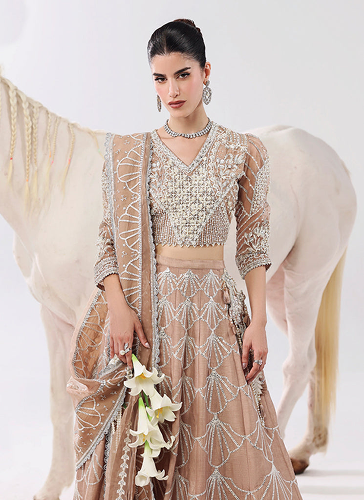 Buy Pakistani Clothes Online In USA