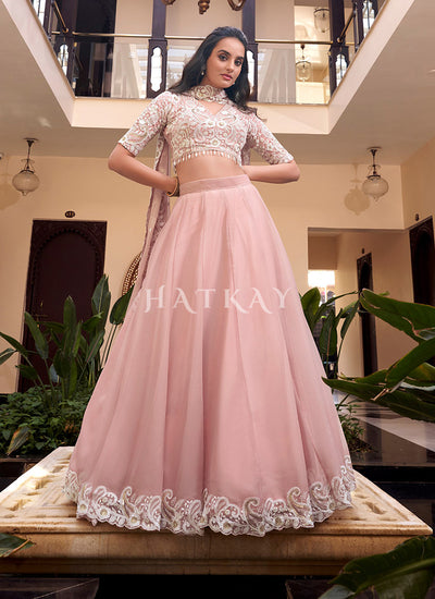 Baby Pink Embroidered Lehenga Choli