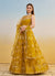 Mustard Yellow Lehenga Choli