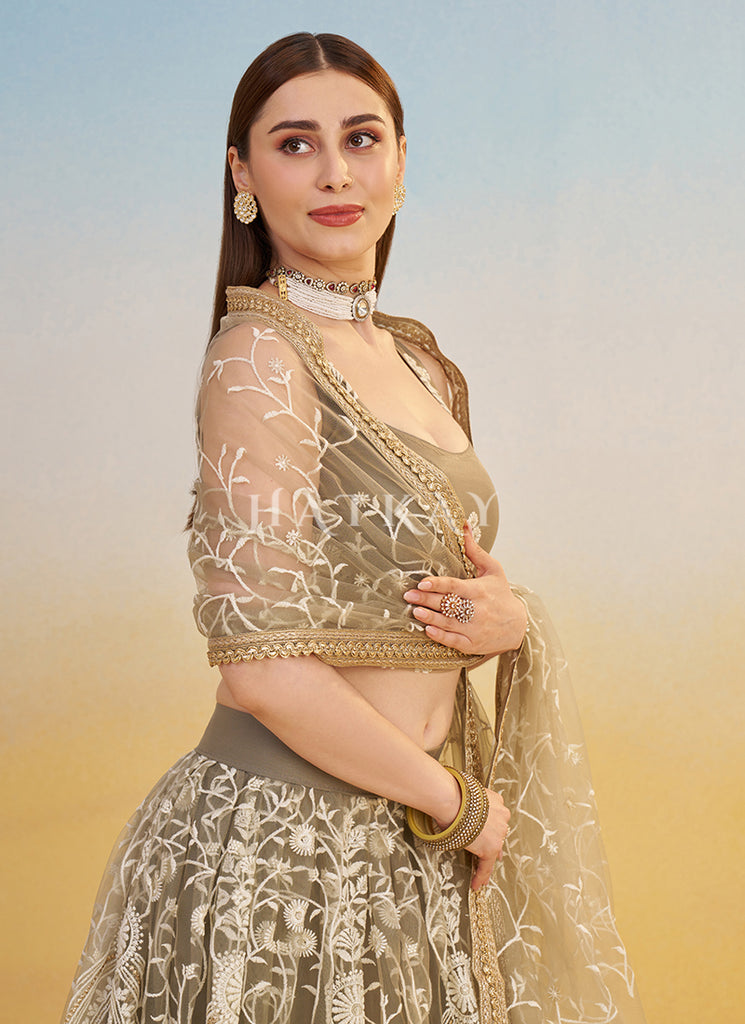 Beige Brown Lehenga Choli