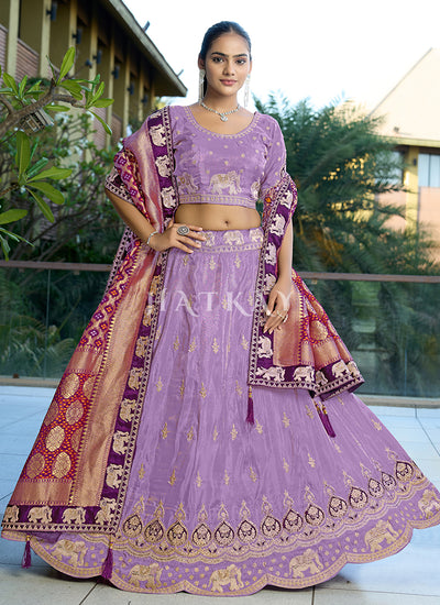 Purple And Red Multi Embroidered Wedding Lehenga Choli