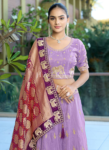 Purple And Red Multi Embroidered Wedding Lehenga Choli