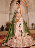 Buy Designer Lehenga and Chaniya Choli 