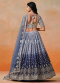 Blue Lehenga Choli