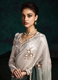 Grey Handwork Sari