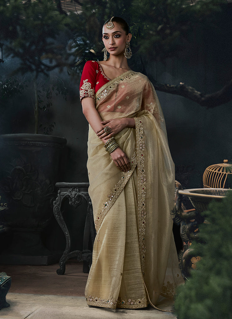 Beige And Red Handwork Embroidered Silk Saree
