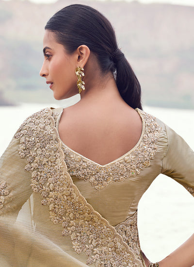 Beige Handwork Embroidery Wedding Saree And Blouse