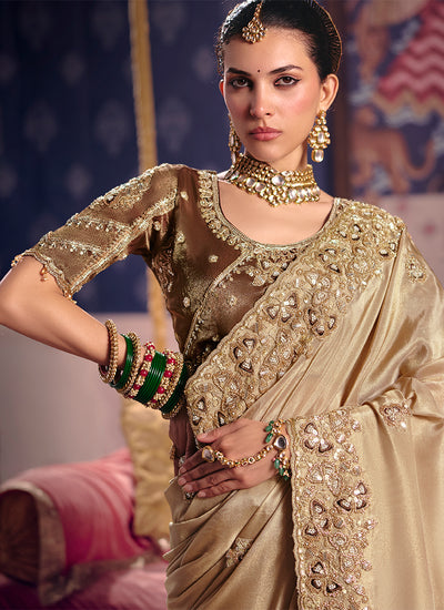 Beige Brown Embroidered Tissue Silk Saree